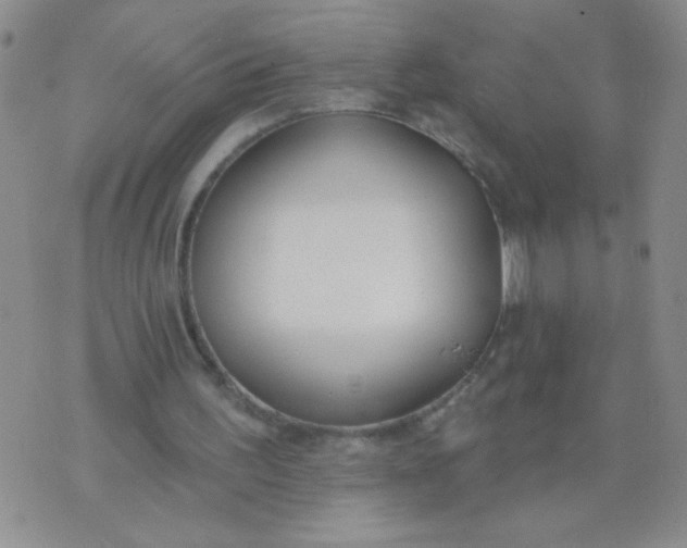 X0000074320195200609152040