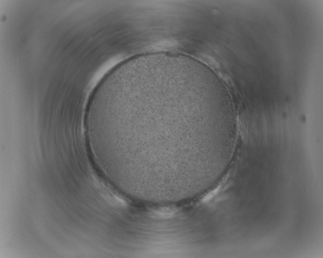 X0000074320196200609152040