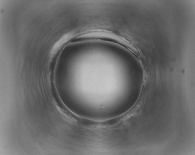 X0000074320197200609152040