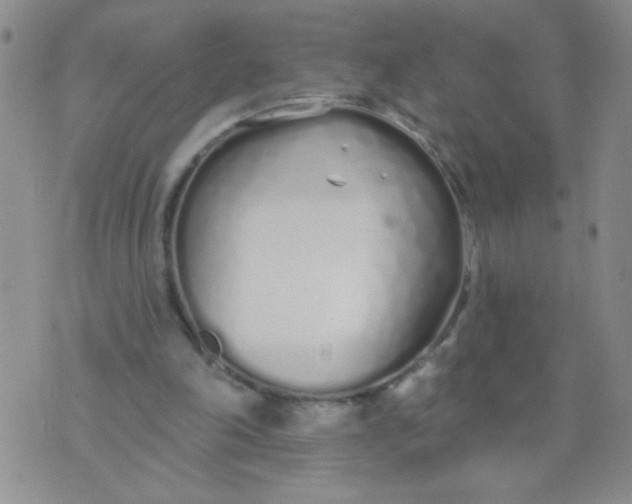 X0000074320198200609152040