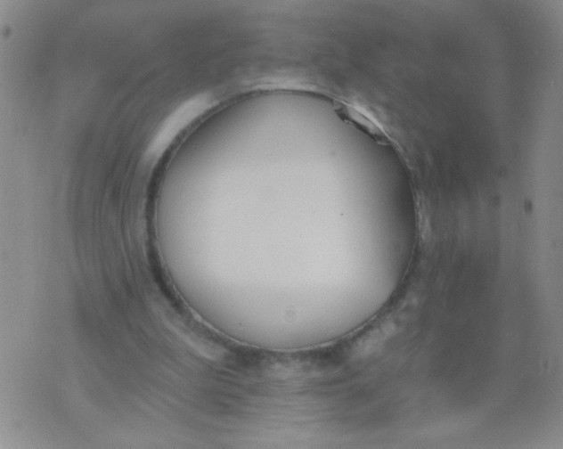 X0000074320199200609152040