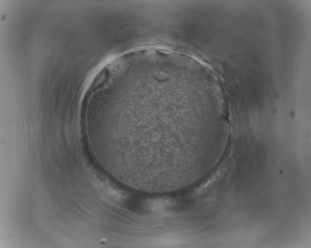 X0000074320200200609152040