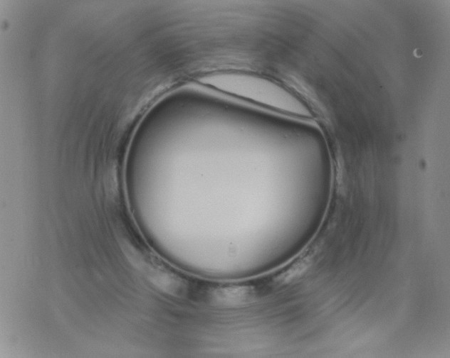 X0000074320202200609152040