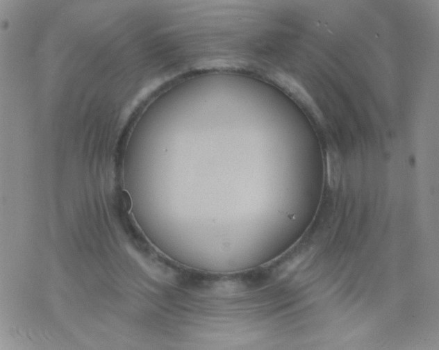 X0000074320204200609152040