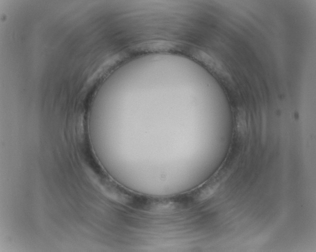 X0000074320206200609152040