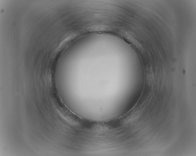 X0000074320207200609152040