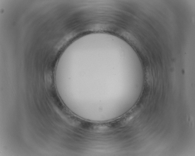 X0000074320208200609152040