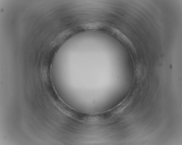 X0000074320209200609152040