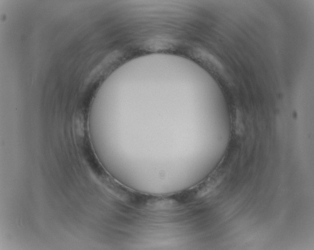 X0000074320210200609152040