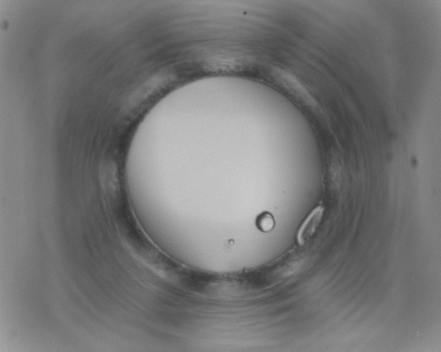 X0000074320211200609152040