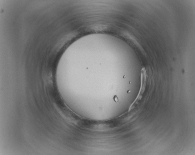 X0000074320212200609152040