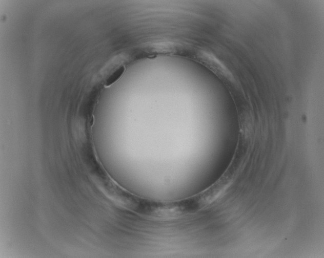 X0000074320213200609152040