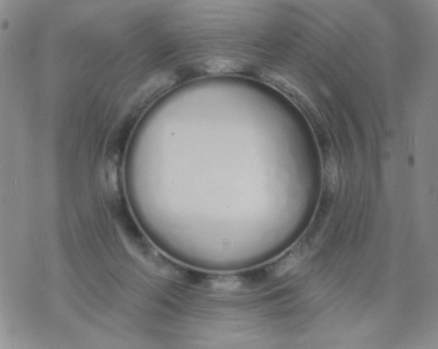 X0000074320214200609152040