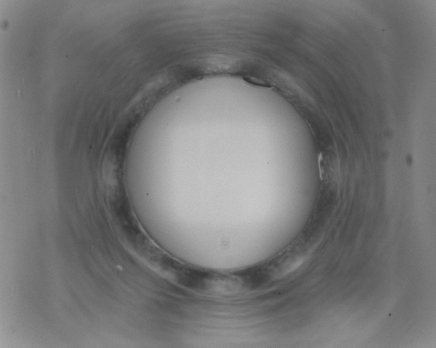 X0000074320215200609152040