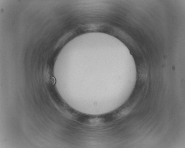 X0000074320216200609152040