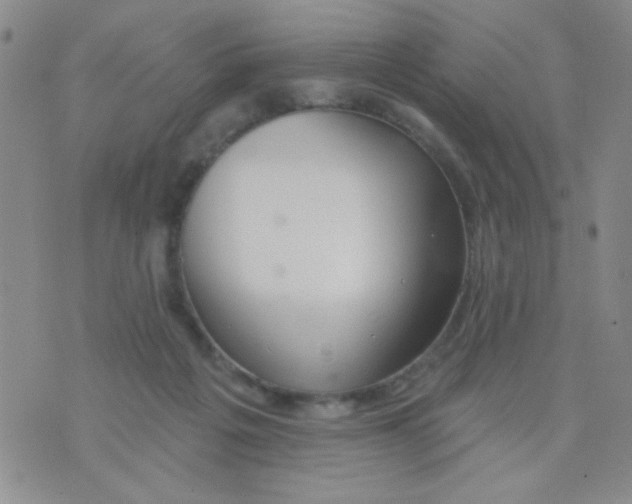 X0000074320217200609152040