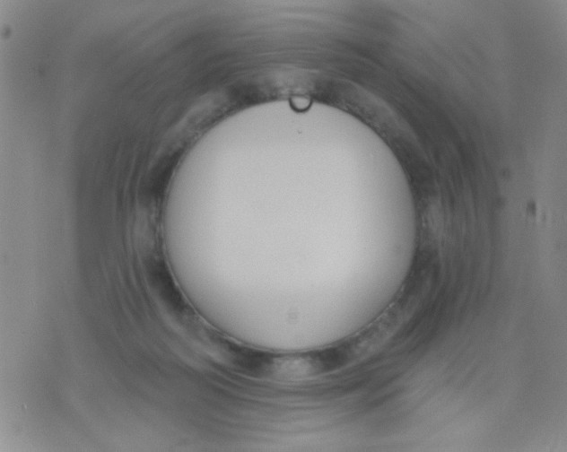 X0000074320218200609152040