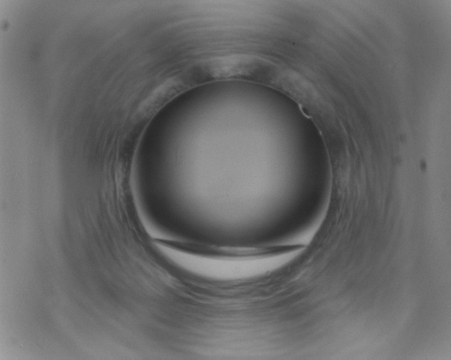 X0000074320219200609152040