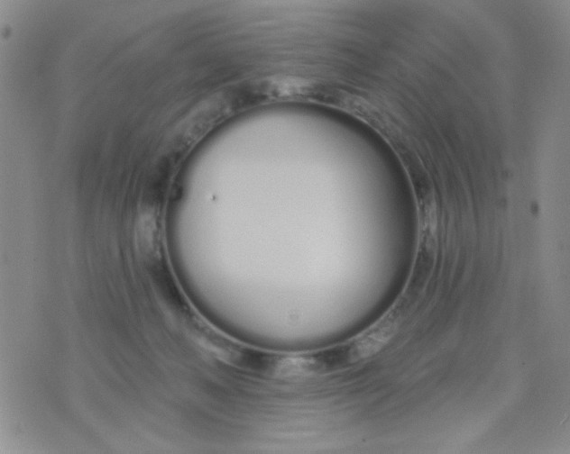 X0000074320222200609152040