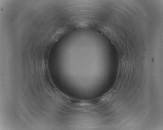 X0000074320223200609152040