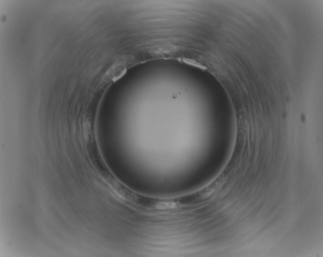 X0000074320227200609152040