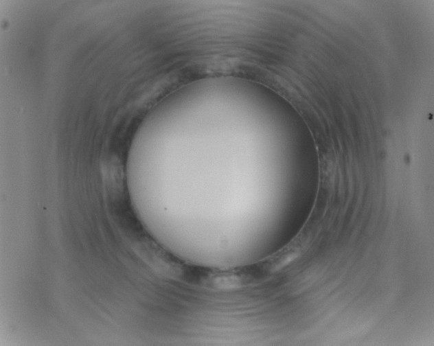 X0000074320228200609152040