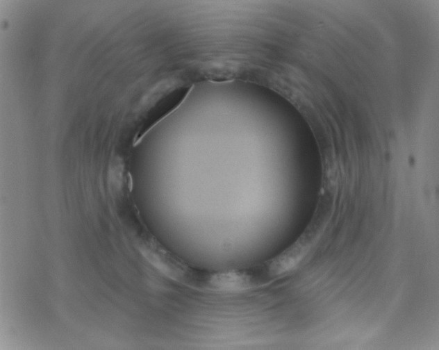 X0000074320231200609152040