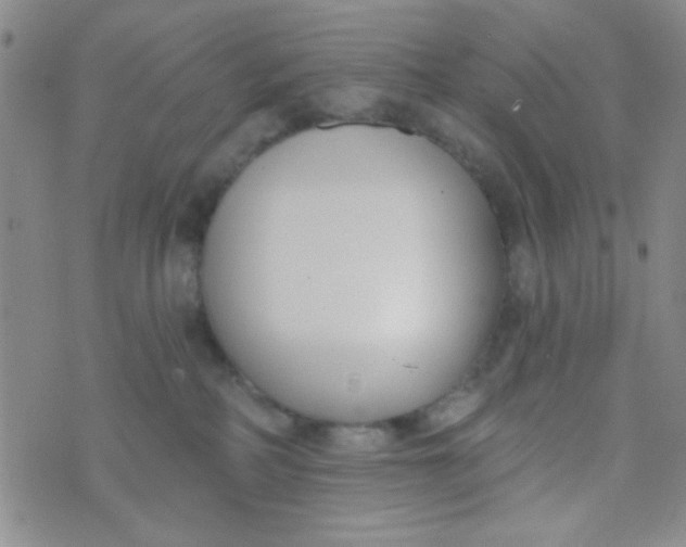 X0000074320234200609152040