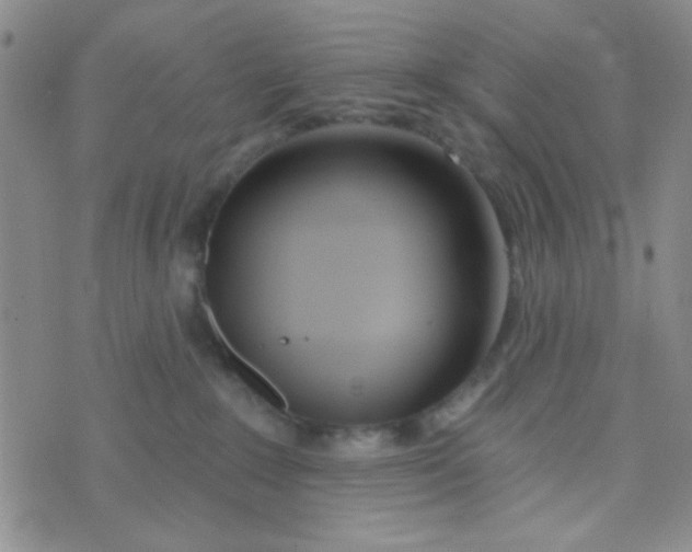 X0000074320235200609152040