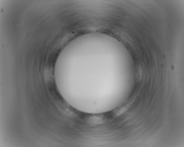 X0000074320236200609152040