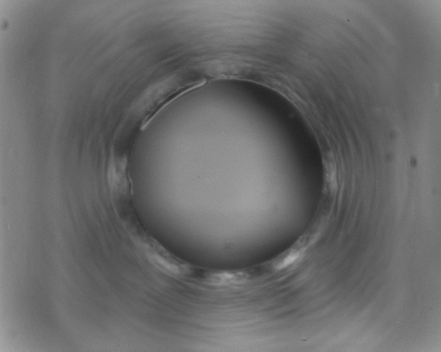 X0000074320239200609152040