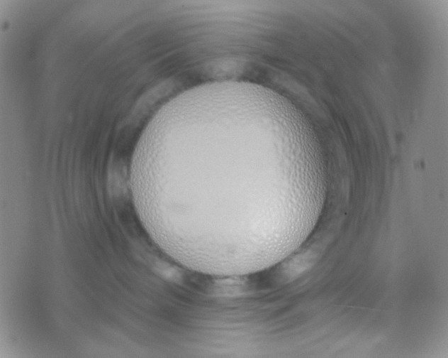 X0000074320240200609152040