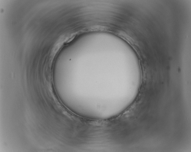 X0000074320241200609152039