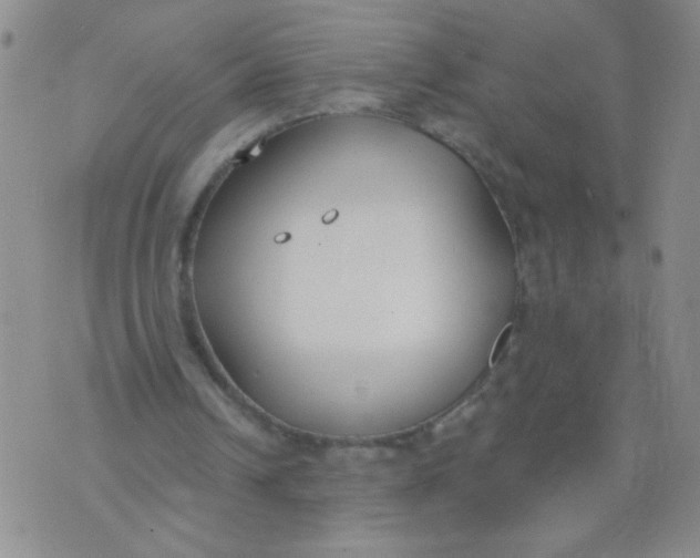 X0000074320242200609152039