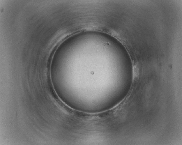 X0000074320243200609152039