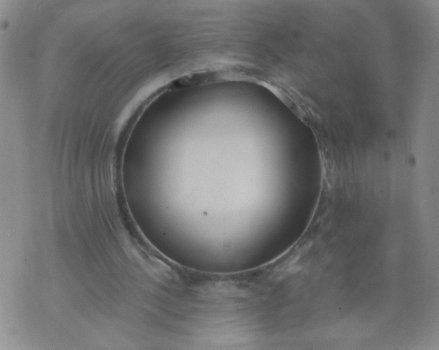 X0000074320244200609152039