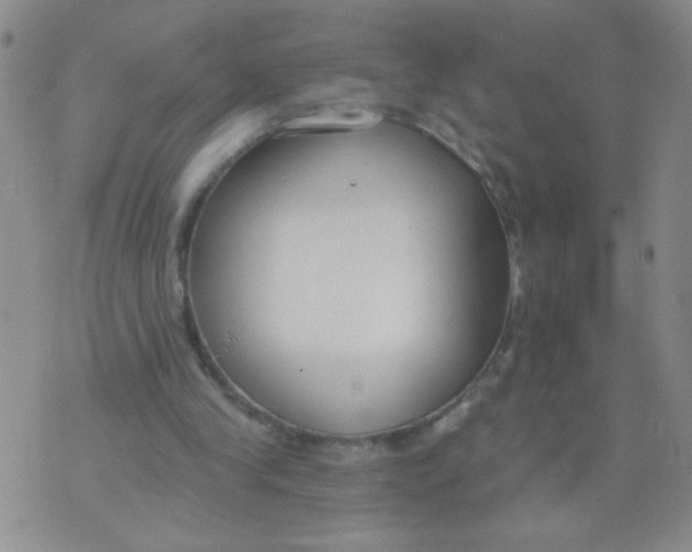 X0000074320245200609152039