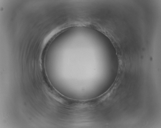 X0000074320246200609152039