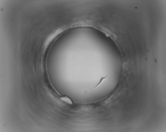 X0000074320248200609152039