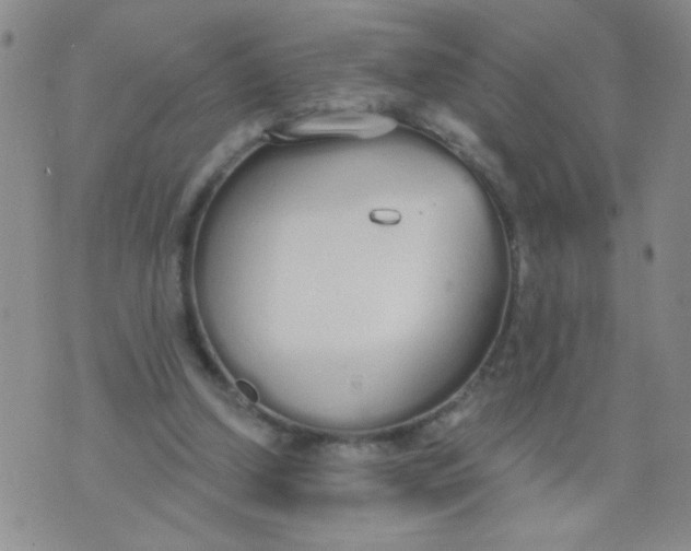 X0000074320250200609152039