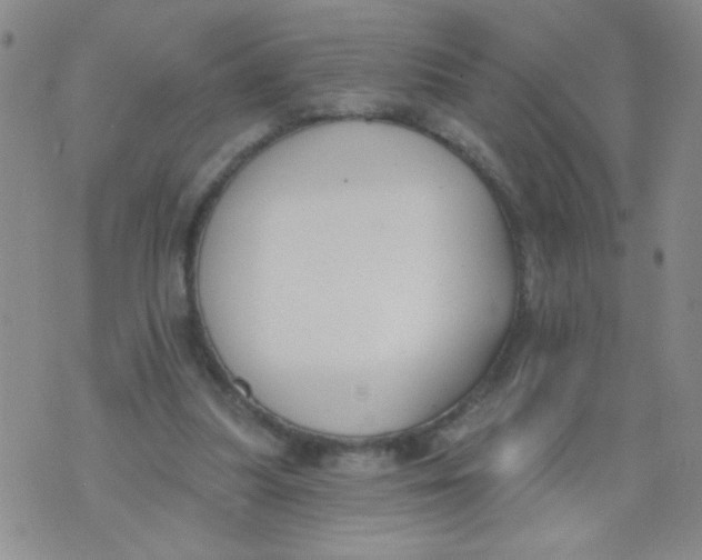 X0000074320251200609152039