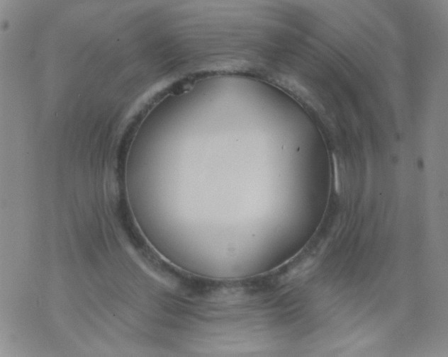 X0000074320252200609152039