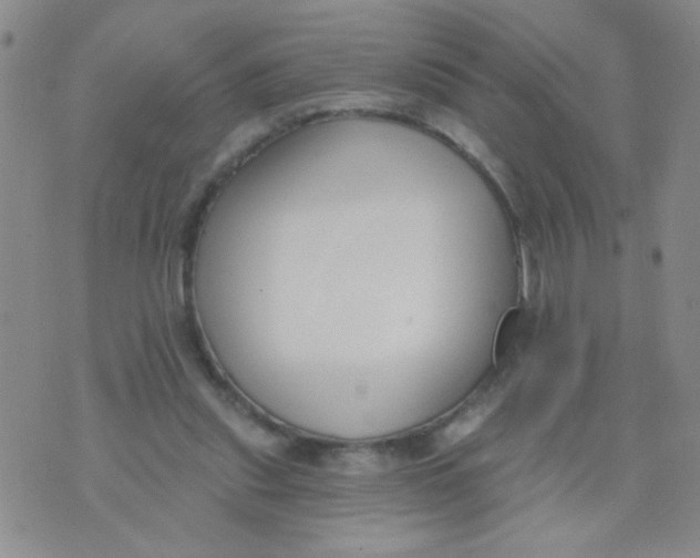 X0000074320253200609152039