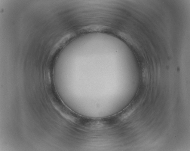 X0000074320254200609152039