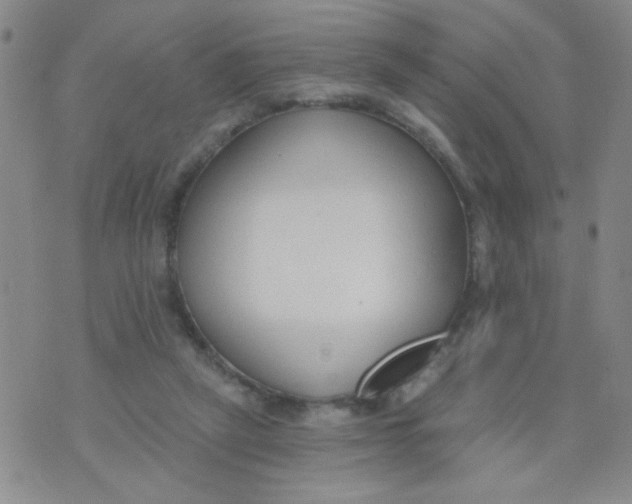 X0000074320257200609152039