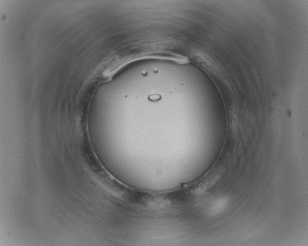 X0000074320258200609152039