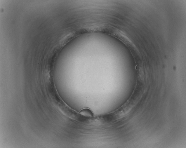 X0000074320259200609152039