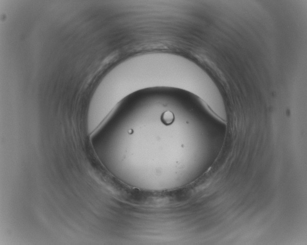 X0000074320260200609152039