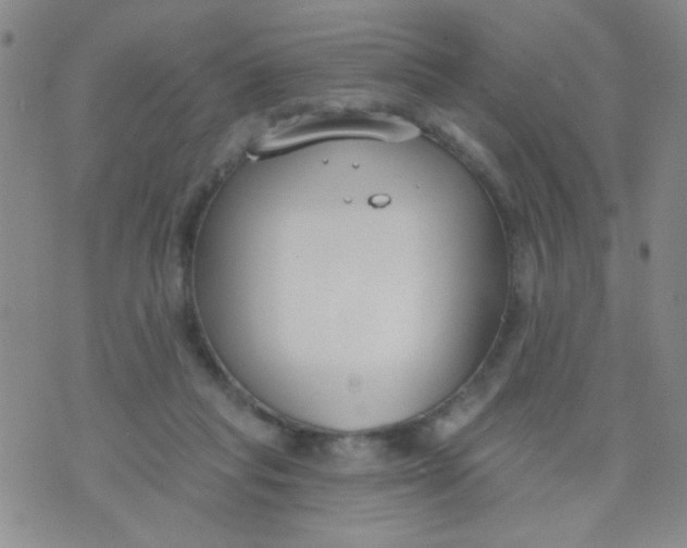 X0000074320261200609152039