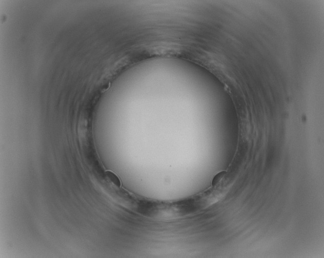 X0000074320263200609152039